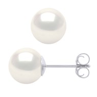 Clous d'Oreilles Perles de Culture d'Eau Douce Rondes 7-8 mm Blanches Naturelles Or Blanc