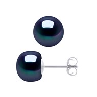 Clous d'Oreilles Perles de Culture d'Eau Douce 8-9 mm Noires Or Blanc