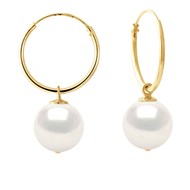 Créoles Perles de Culture d'Eau Douce Rondes 10-11 mm Noires Or Jaune