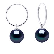 Créoles Perles de Culture d'Eau Douce Rondes 10-11 mm Noires Or Blanc