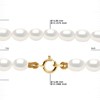 Collier Rang de Perles d'Eau Douce Grain de Riz 4-5 mm Blanches Or Jaune 18 Carats - vue V3