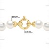 Collier Rang PRINCESSE Perles d'Eau Douce Rondes 6-7 mm Blanches Fermoir Prestige Or Jaune - vue V3