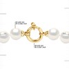 Collier Rang de Perles d'Eau Douce en Chute 10-6 mm PRINCESSE Fermoir Prestige Or Blanc 18 Carats - vue V3