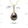 Pendentif Diamants 0,010 Cts Perle de Culture de TAHITI 8-9 mm Or Jaune - vue V3