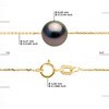 Collier Perle de Culture de TAHITI Ronde 8-9 mm Chaîne Or Jaune - vue V3