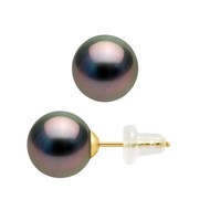Clous d'Oreilles Perles de Tahiti Rondes 8-9 mm Or Jaune