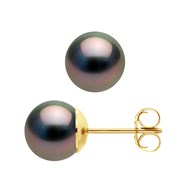 Boucles d'Oreilles Perles de Tahiti Rondes 8-9 mm Or Jaune 18 Carats