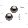 Clous d'Oreilles Perles de Tahiti Rondes 9-10 mm Système Sécurité Or Blanc - vue V3