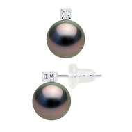 Boucles d'Oreilles Perles de Tahiti Rondes 8-9 mm et Diamants 0,04 Cts Joaillerie Or Blanc 18 Carats