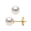 Boucles d'Oreilles Perles AKOYA Rondes 7-8 mm Or Blanc 18 Carats - vue V1