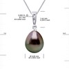 Pendentif Diamants 0,010 Cts et Perle de TAHITI Poire 9-10 mm Or Blanc 18 Carats Livré avec Chaîne - vue V3
