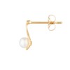 Boucles d'oreilles or jaune et Perles de culture blanches 'Goutte Perlée' - vue V5