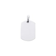 Plaque GI Brillaxis argent