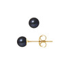 Boucles d'Oreilles - Or Jaune Perles de Culture d'Eau Douce - Black Tahiti - vue V1