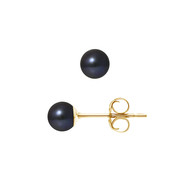 Boucles d'Oreilles - Or Jaune Perles de Culture d'Eau Douce - Black Tahiti