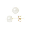 Boucles d'Oreilles - Or Jaune et Perles de Culture d'Eau Douce - Blanc Nacre Naturel - vue V1
