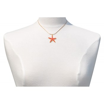 Pendentif Etoile en Laiton Emaillée