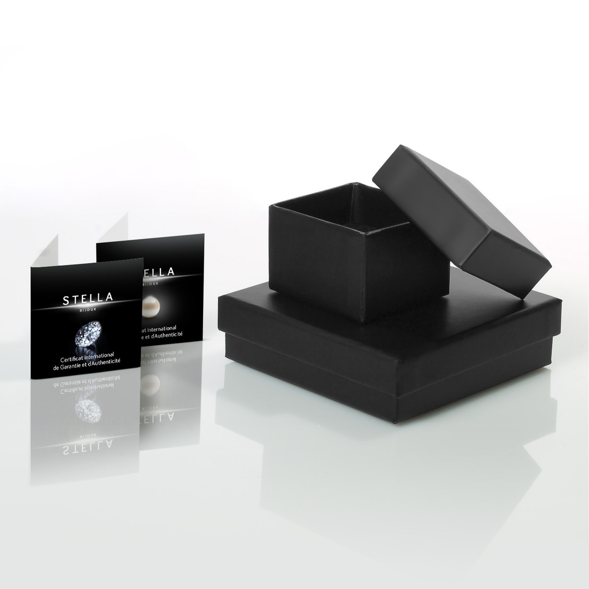 STELLA - Bague Simple - Pure Ceramic noire et acier - vue 4