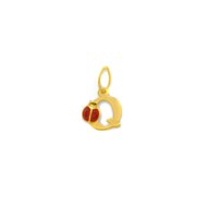 Pendentif initiale Q en Or jaune 375/00 avec coccinelle