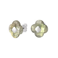 Puce D'Oreilles Or Blanc Labradorite