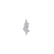 Pendentif carte de la Tunisie en argent 925°/00 + chaîne