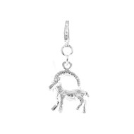 Charm capricorne signe du zodiaque SC Crystal