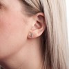 Puces d'oreilles TRIANGLE - Lorenzo R - vue V2