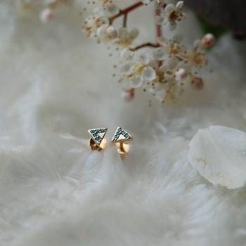 Puces d'oreilles TRIANGLE - Lorenzo R