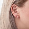Puces d'oreilles ANANAS - Lorenzo R - vue V2