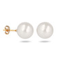 Boucles d'oreille plaqué or avec perle d'imitation de Majorque blanche 6MM - vue V1