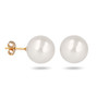 Boucles d'oreille plaqué or avec perle d'imitation de Majorque blanche 8MM - vue V1
