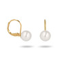 Boucles d'oreille plaqué or dormeuse avec perle d'imitation blanche 6MM - vue V1
