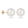 Boucles d'oreille plaqué or avec perle d'imitation de Majorque blanche 14MM - vue V1