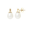 Boucles d'Oreilles Perles de Culture Blanches, Diamants et Or Jaune 750/1000 - vue V1