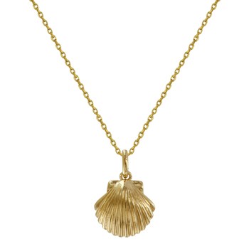 Collier Plaqué Or Coquille St Jacques