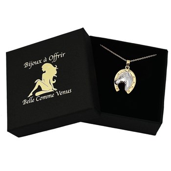 Collier fer à cheval porte bonheur Plaqué OR 750 3 microns 2 tons