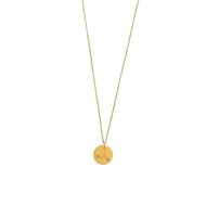 Collier signe astrologique constellation du zodiaque Poissons acier doré
