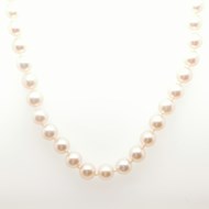 Collier choker perles deculture or 5.5/6 mm