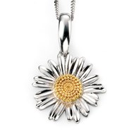 Collier  fleur plaqué Or en argent 925/1000