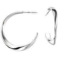 Boucle d'oreille en argent 925/1000