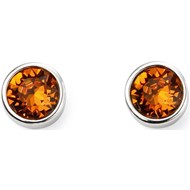 Boucle d'oreille pierre de novembre en argent 925/100