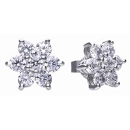 Boucle d'oreille fleur en argent 925/1000
