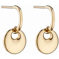 Boucle d'oreille disque en Or 375/1000