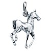 Collier cheval et sa Chaine de 51 cm en argent 925/1000 - vue V1