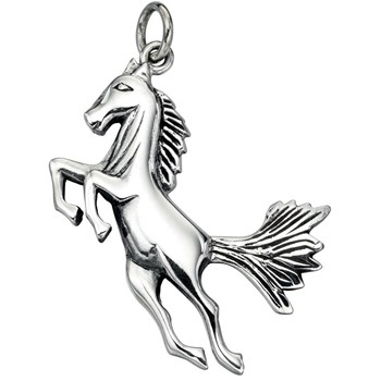 Paardenketting met 51 cm ketting in zilver 925/1000