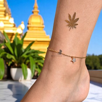 Zirconium oxide anklet chain Gold plated 750 3 microns 2 tone