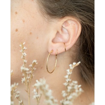 Boucles d'oreilles Créoles Tendances Mode Plaqué Or