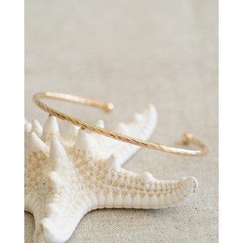 Trendy Vergulde Gedraaide Fijne Armband