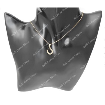 Geluksketting hoefijzer zirkoniumoxide GOUD verguld 750 3 micron