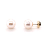 Boucles d'oreilles perles Akoya 8/8.5 mm or